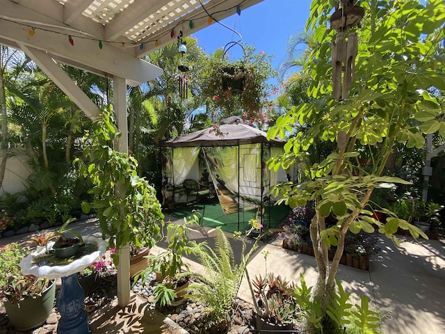 view of yard with a pergola and a patio area