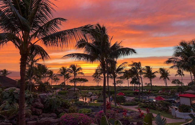 130 Kai Malina Pkwy Unit Nr202, Lahaina, HI 96761 - nature at dusk with a water view