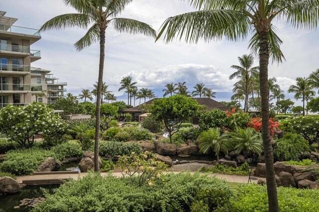 130 Kai Malina Pkwy Unit Nr202, Lahaina, HI 96761 - view of community