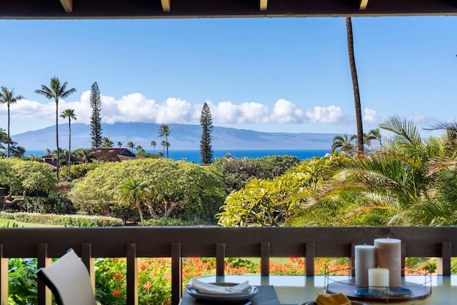 water view with a mountain view