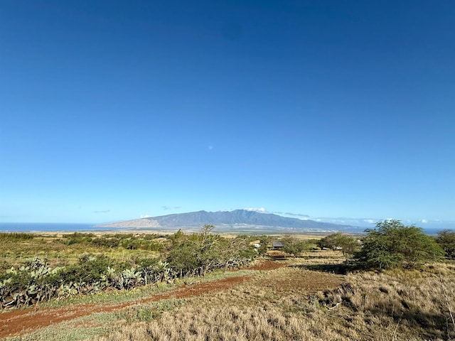 156 Ikena Kai Pl, Kula, HI 96790