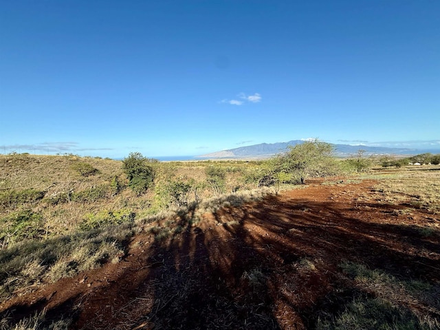 156 Ikena Kai Pl, Kula, HI 96790