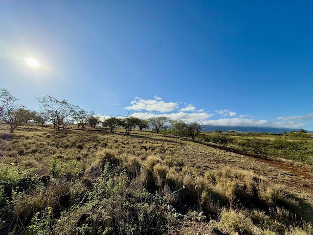 156 Ikena Kai Pl, Kula, HI 96790