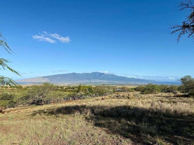 156 Ikena Kai Pl, Kula, HI 96790