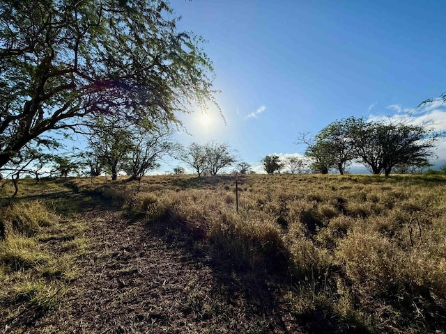 156 Ikena Kai Pl, Kula, HI 96790