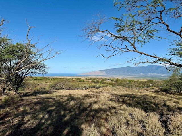 156 Ikena Kai Pl, Kula, HI 96790