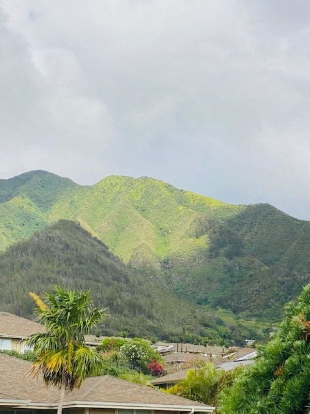 160 Kinohi Loa Loop, Wailuku, HI 96793 - mountain view