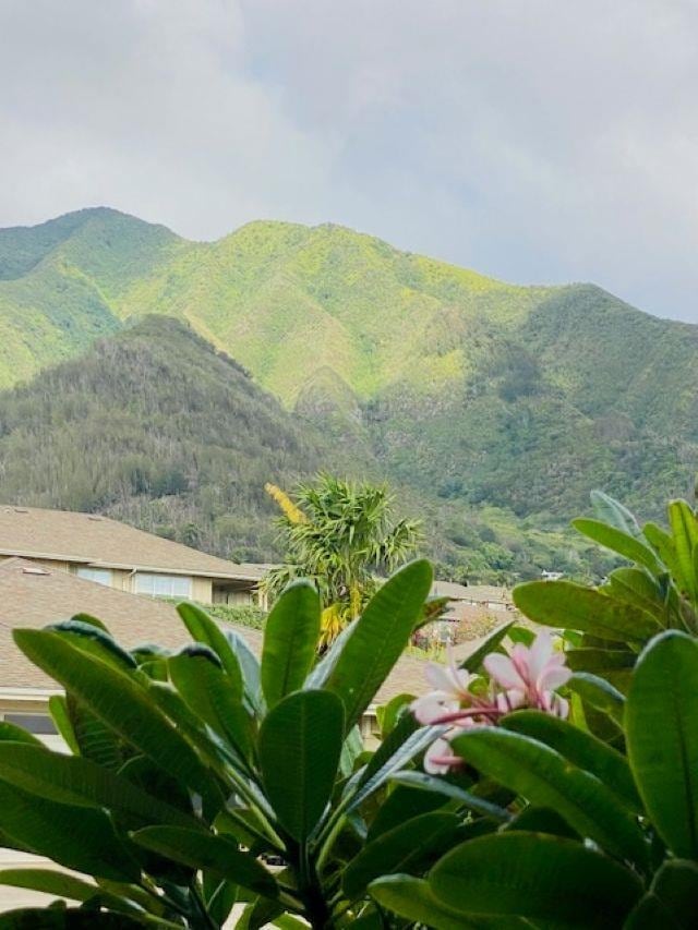 160 Kinohi Loa Loop, Wailuku, HI 96793 - view of mountain backdrop