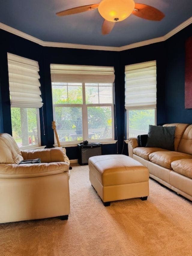 160 Kinohi Loa Loop, Wailuku, HI 96793 - living room with carpet flooring, a ceiling fan, and crown molding