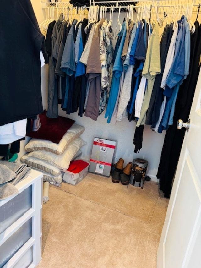 160 Kinohi Loa Loop, Wailuku, HI 96793 - walk in closet featuring carpet flooring