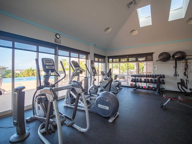 workout area featuring a skylight, high vaulted ceiling, and a wealth of natural light