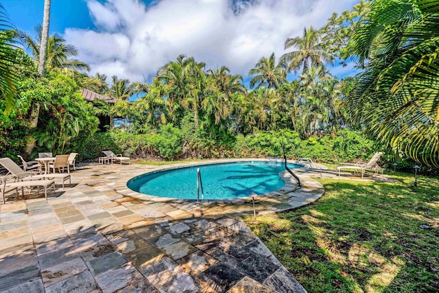 view of swimming pool featuring a patio area