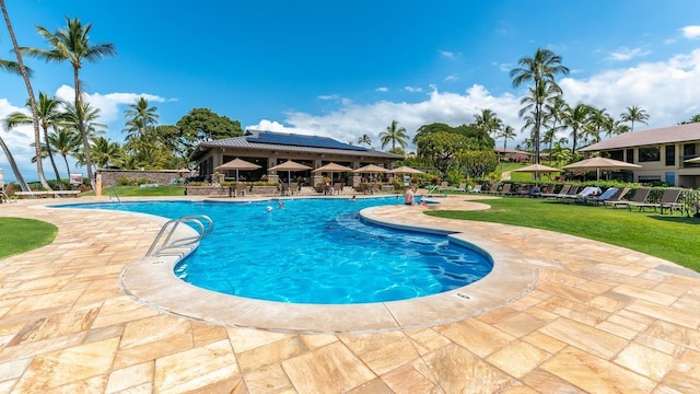 pool with a patio and a yard