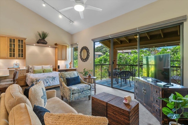 carpeted bedroom with access to outside, rail lighting, and vaulted ceiling