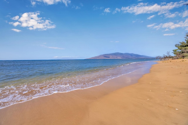 property view of water with a beach view