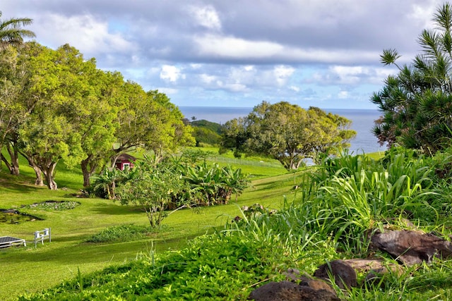 view of community featuring a yard and a water view