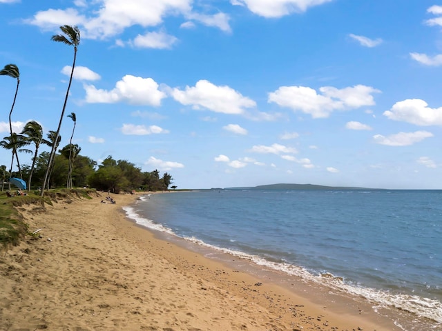 water view with a beach view