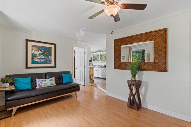 living room featuring ceiling fan, light wood-type flooring, and crown molding