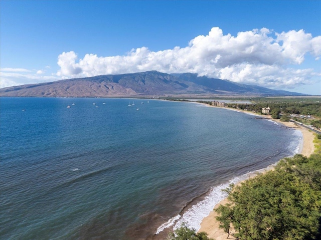 water view featuring a mountain view