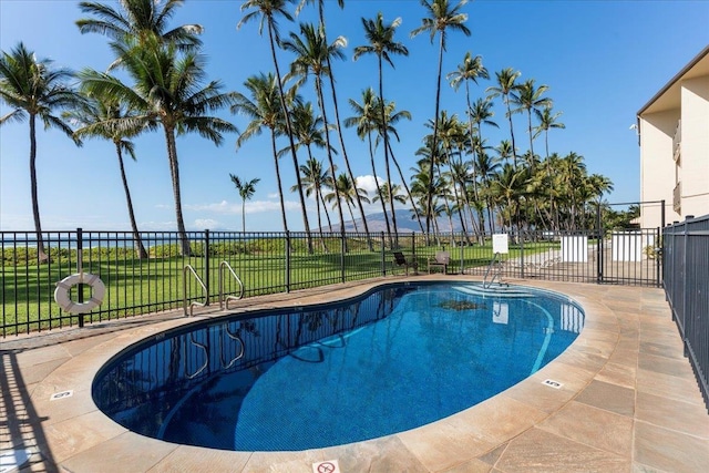 view of pool featuring a patio area and a yard