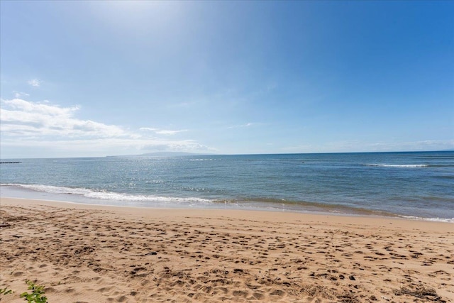 water view featuring a beach view