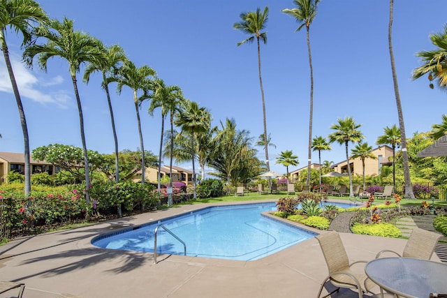 view of swimming pool featuring a patio