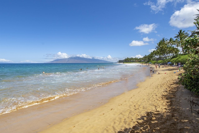 water view featuring a view of the beach