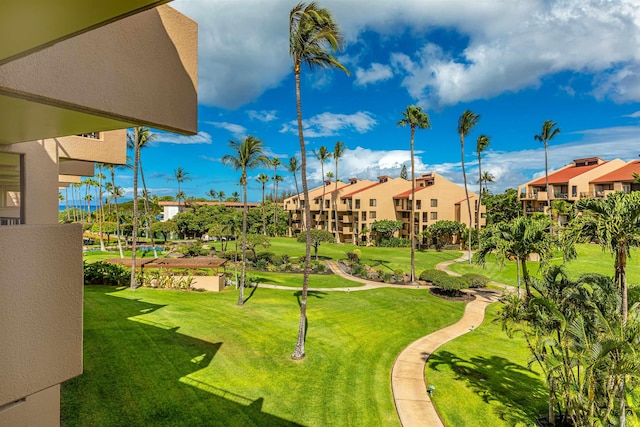 view of property's community featuring a yard