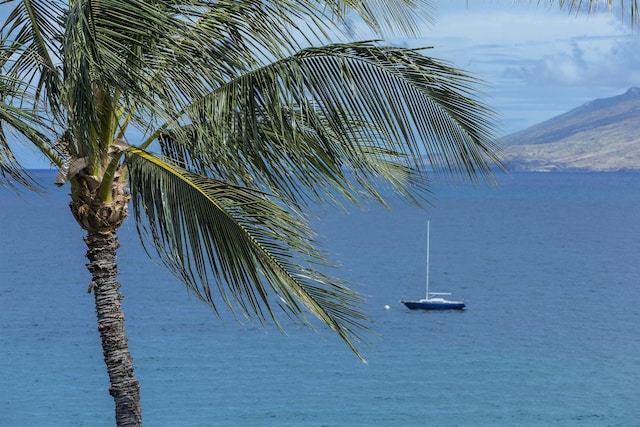 water view featuring a mountain view