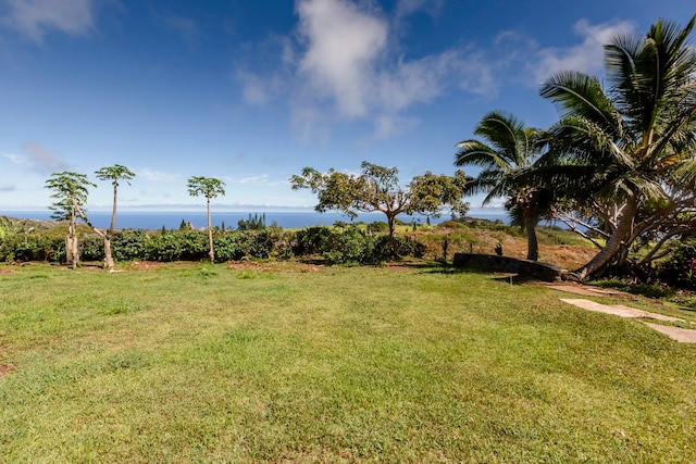 view of yard with a water view