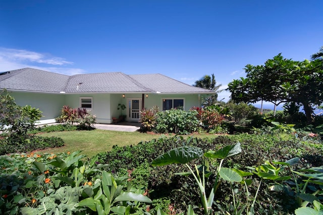 rear view of house featuring a yard