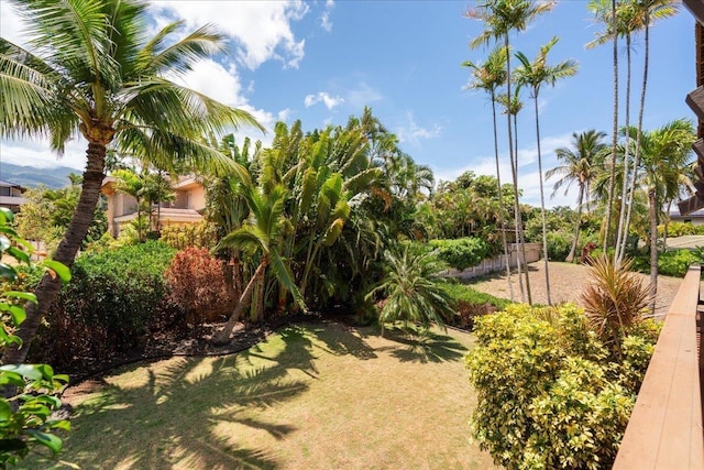 41 Pihaa St, Lahaina, HI 96761 - view of yard