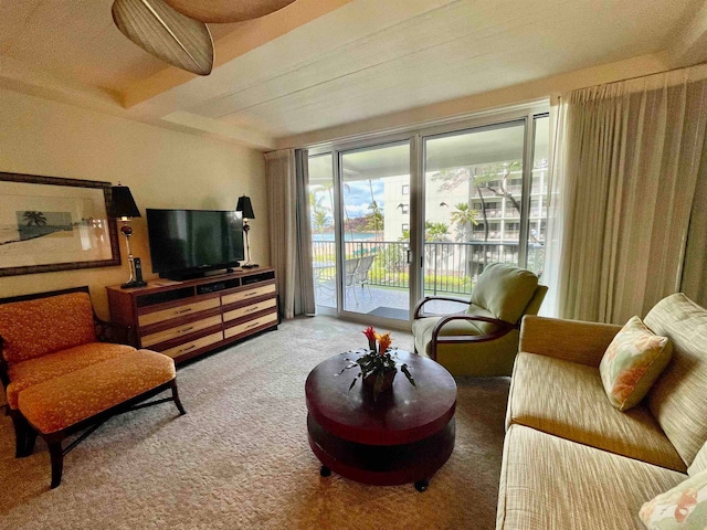 view of carpeted living room