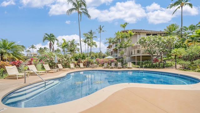 view of pool featuring a patio