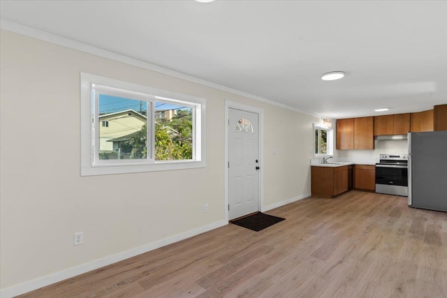 kitchen with sink, light hardwood / wood-style floors, plenty of natural light, and appliances with stainless steel finishes