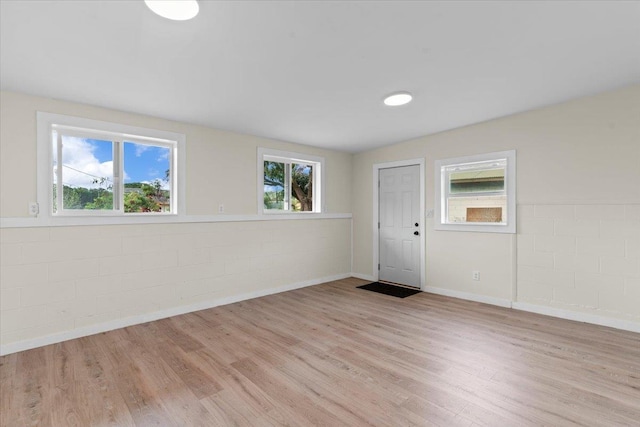 spare room featuring light wood-type flooring and a wealth of natural light