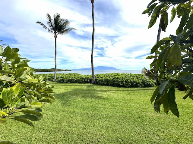 view of yard with a water and mountain view