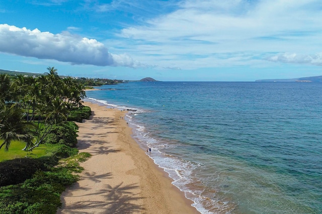 water view with a view of the beach