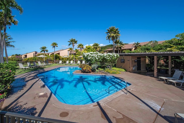 view of pool featuring a patio area