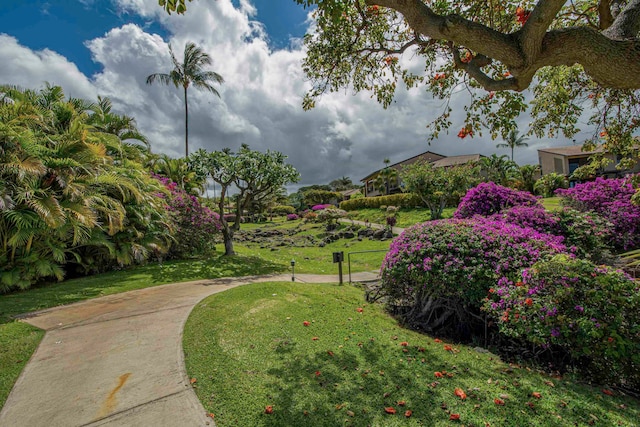 surrounding community with a lawn