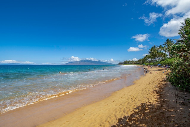 property view of water featuring a beach view