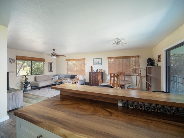 living room featuring ceiling fan and dark hardwood / wood-style flooring