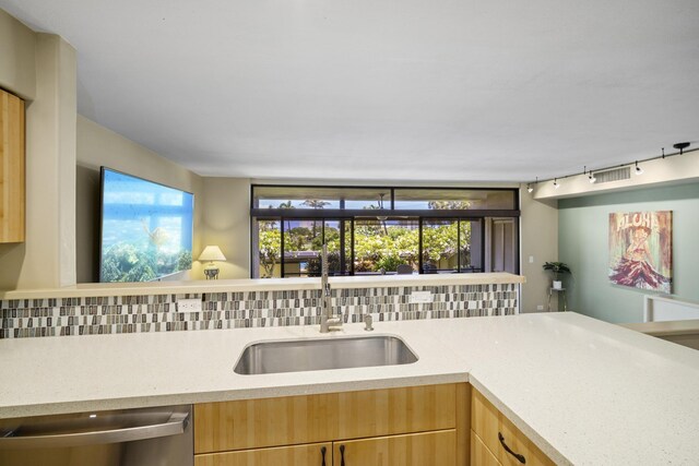 kitchen with sink, rail lighting, stainless steel dishwasher, and tasteful backsplash