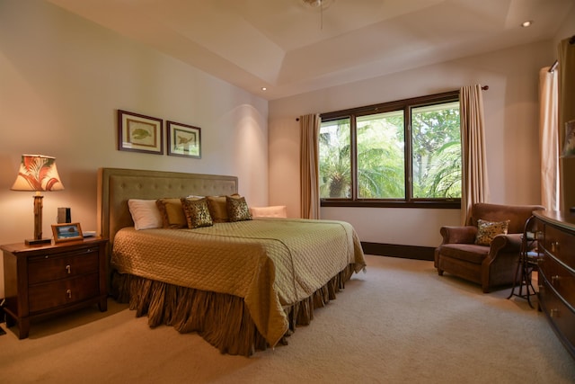 carpeted bedroom with a raised ceiling