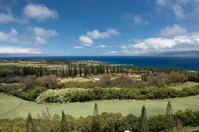 Listing photo 2 for 221 Plantation Club Dr, Lahaina HI 96761