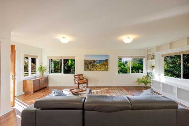 1220 W Kuiaha Rd, Haiku, HI 96708 - living room featuring light wood finished floors and plenty of natural light