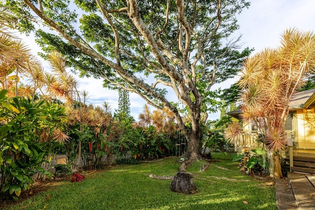 1220 W Kuiaha Rd, Haiku, HI 96708 - view of green lawn