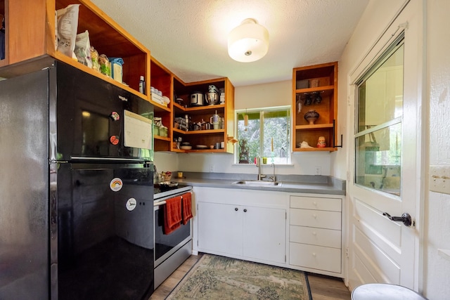 1220 W Kuiaha Rd, Haiku, HI 96708 - kitchen featuring freestanding refrigerator, stainless steel electric range, open shelves, white cabinets, and light wood-style floors