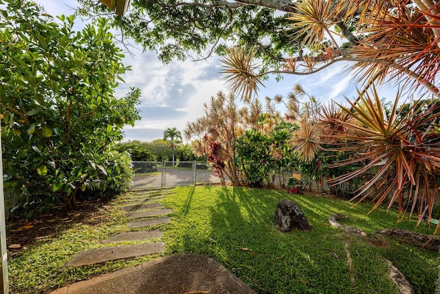 1220 W Kuiaha Rd, Haiku, HI 96708 - view of yard featuring a gate