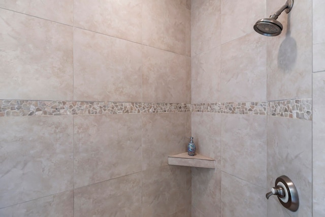 room details with a tile shower